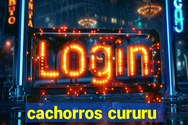 cachorros cururu